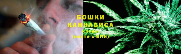 apvp Ельня