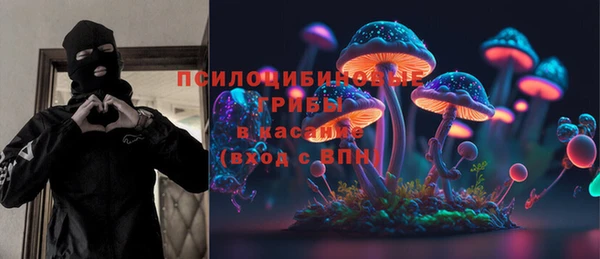 стафф Елабуга