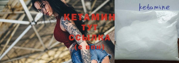 apvp Ельня