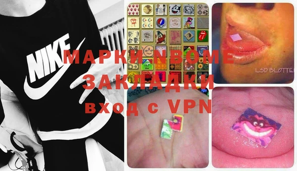 apvp Ельня
