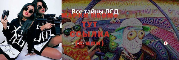 apvp Ельня