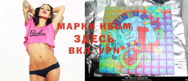 apvp Ельня