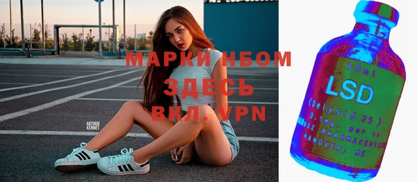 стафф Елабуга