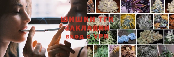 apvp Ельня