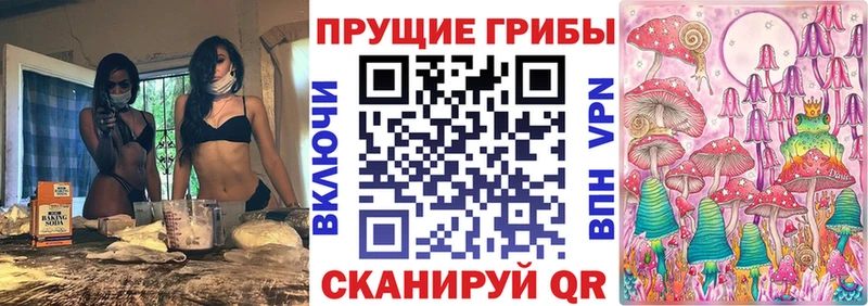 Купить где  Горячий Ключ  Псилоцибиновые грибы Cubensis 